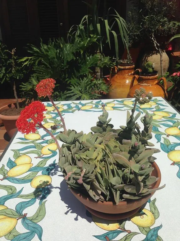 Bed and Breakfast Colapesce Santa Teresa Di Riva