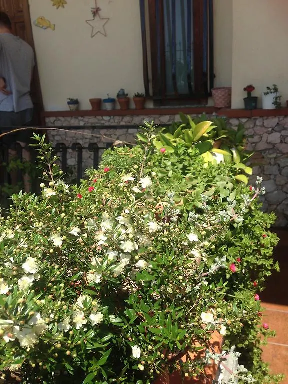 Nocleg ze śniadaniem Bed and Breakfast Colapesce Santa Teresa Di Riva Włochy